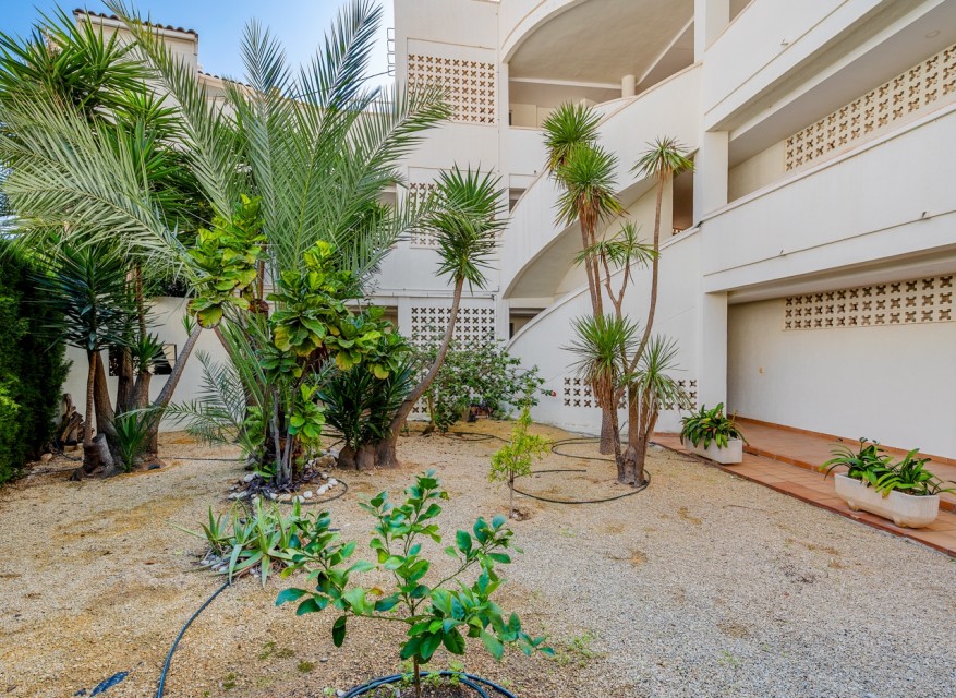 Wederverkoop - Appartement - Altea - Altea - Stad