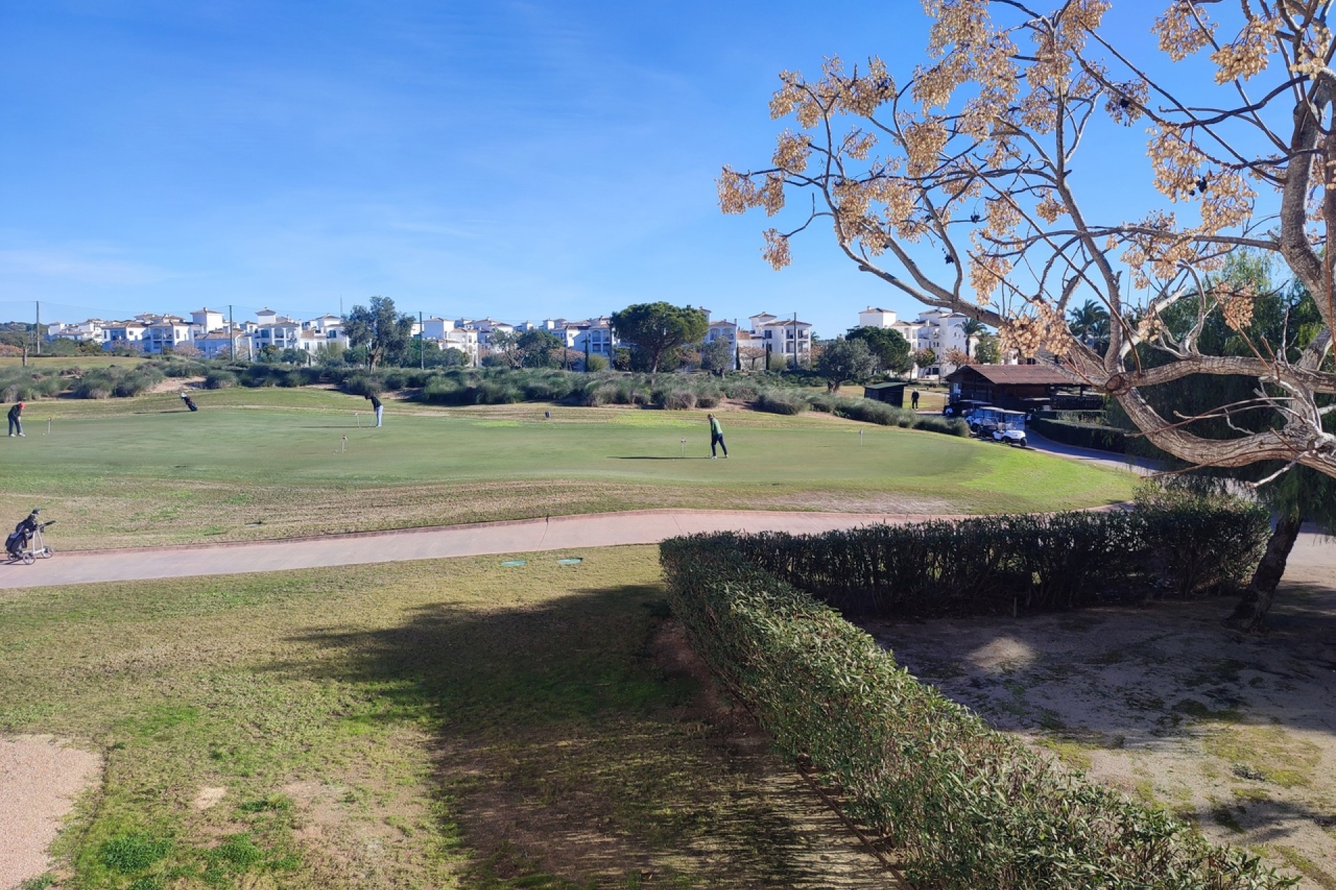 Wederverkoop - Appartement - Hacienda Riquelme Golf Resort - Hacienda Riquelme Golf Resort - Centre