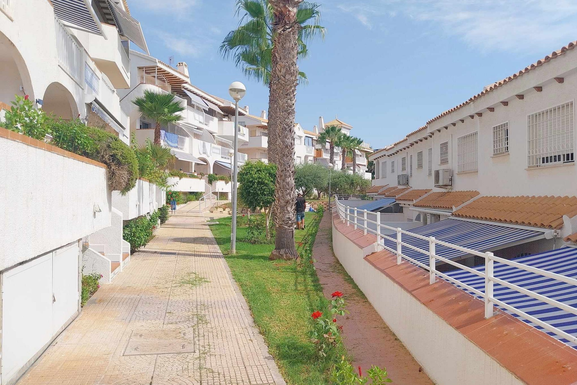 Wederverkoop - Appartement - Orihuela Costa - Cabo Roig