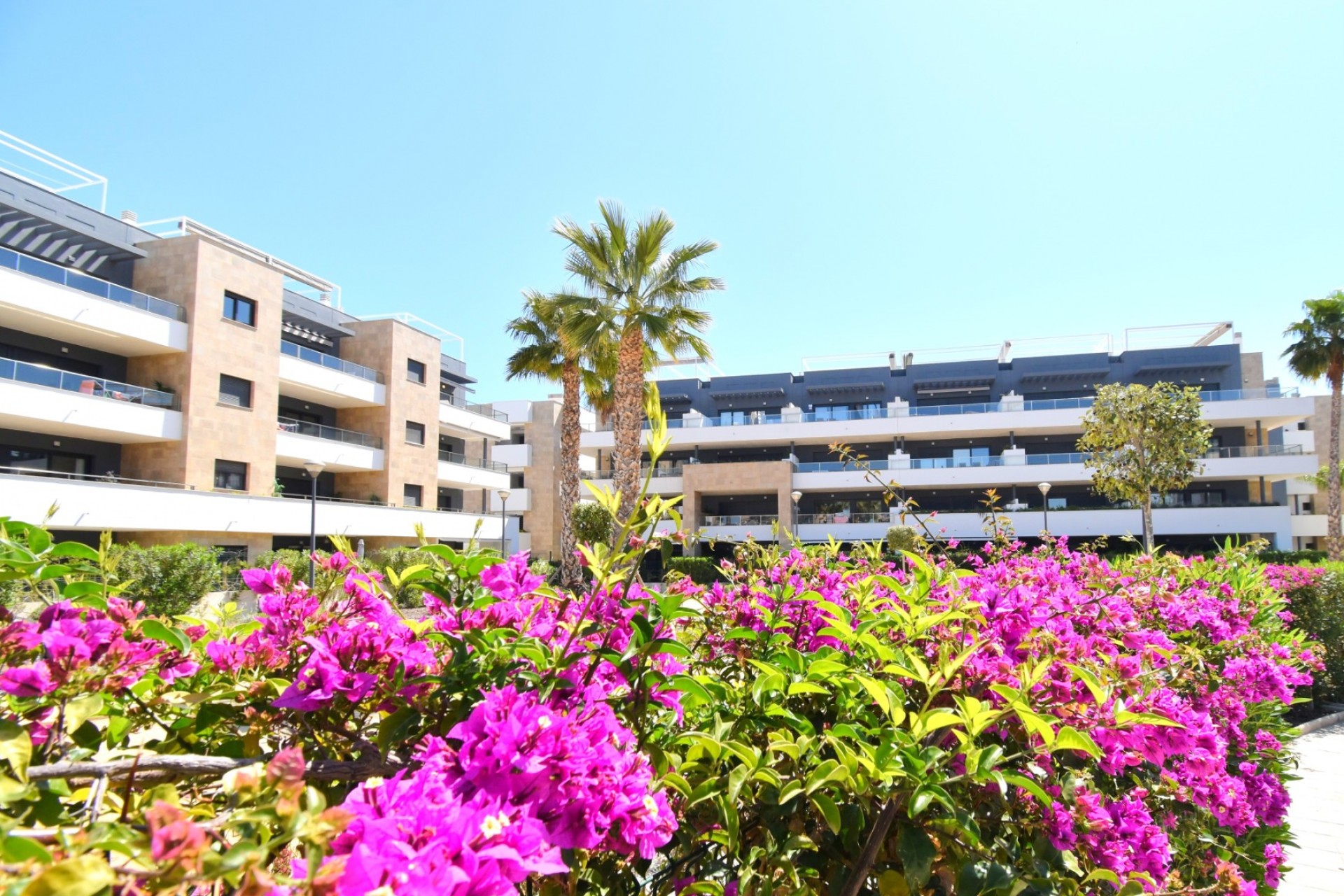 Wederverkoop - Appartement - Orihuela Costa - Playa Flamenca