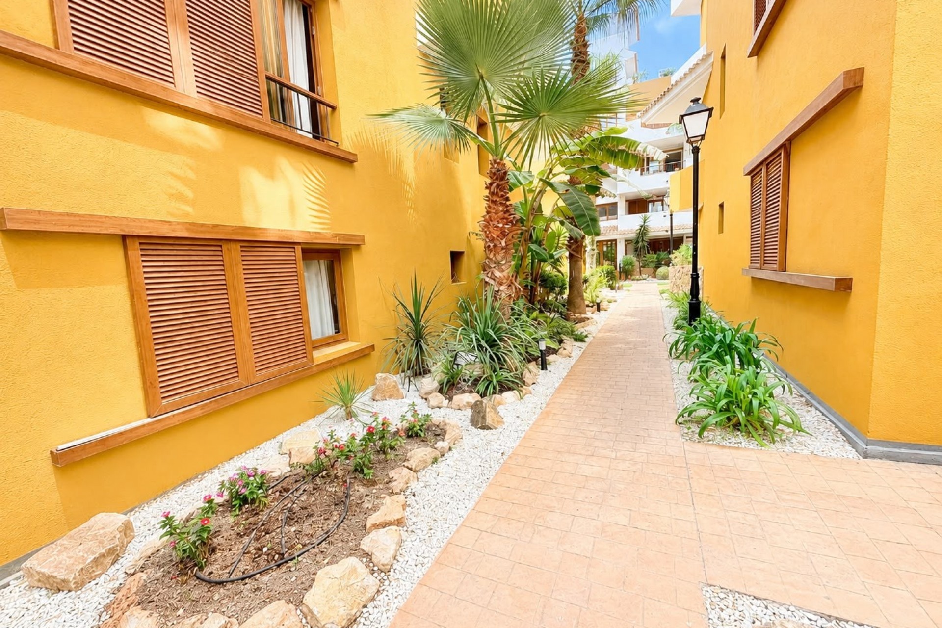 Wederverkoop - Appartement - Orihuela Costa - Punta Prima
