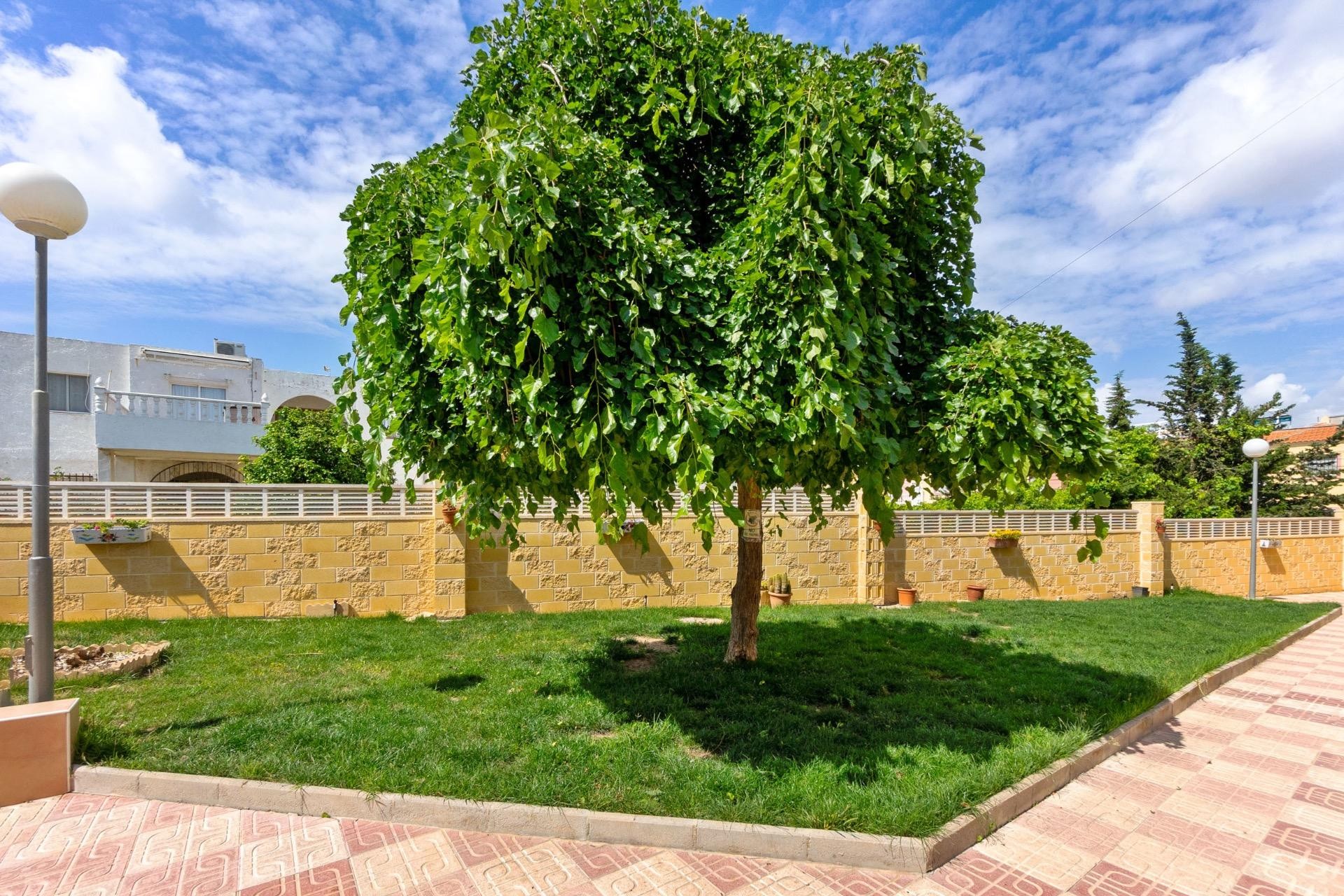 Wederverkoop - Appartement - Torrevieja - El Chaparral