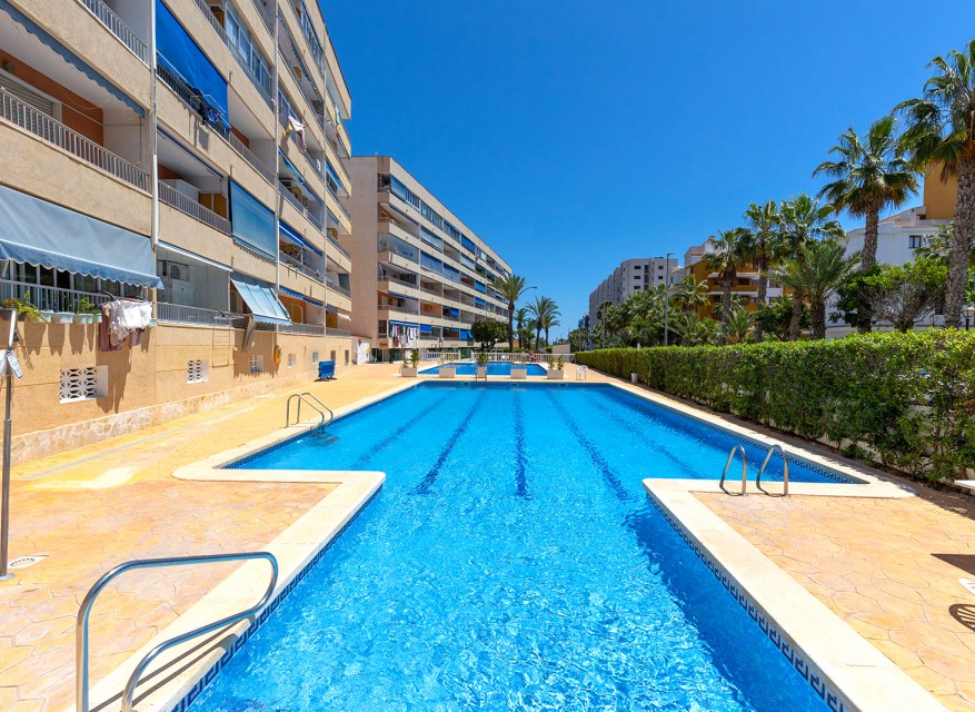 Wederverkoop - Appartement - Torrevieja - Rocio del Mar