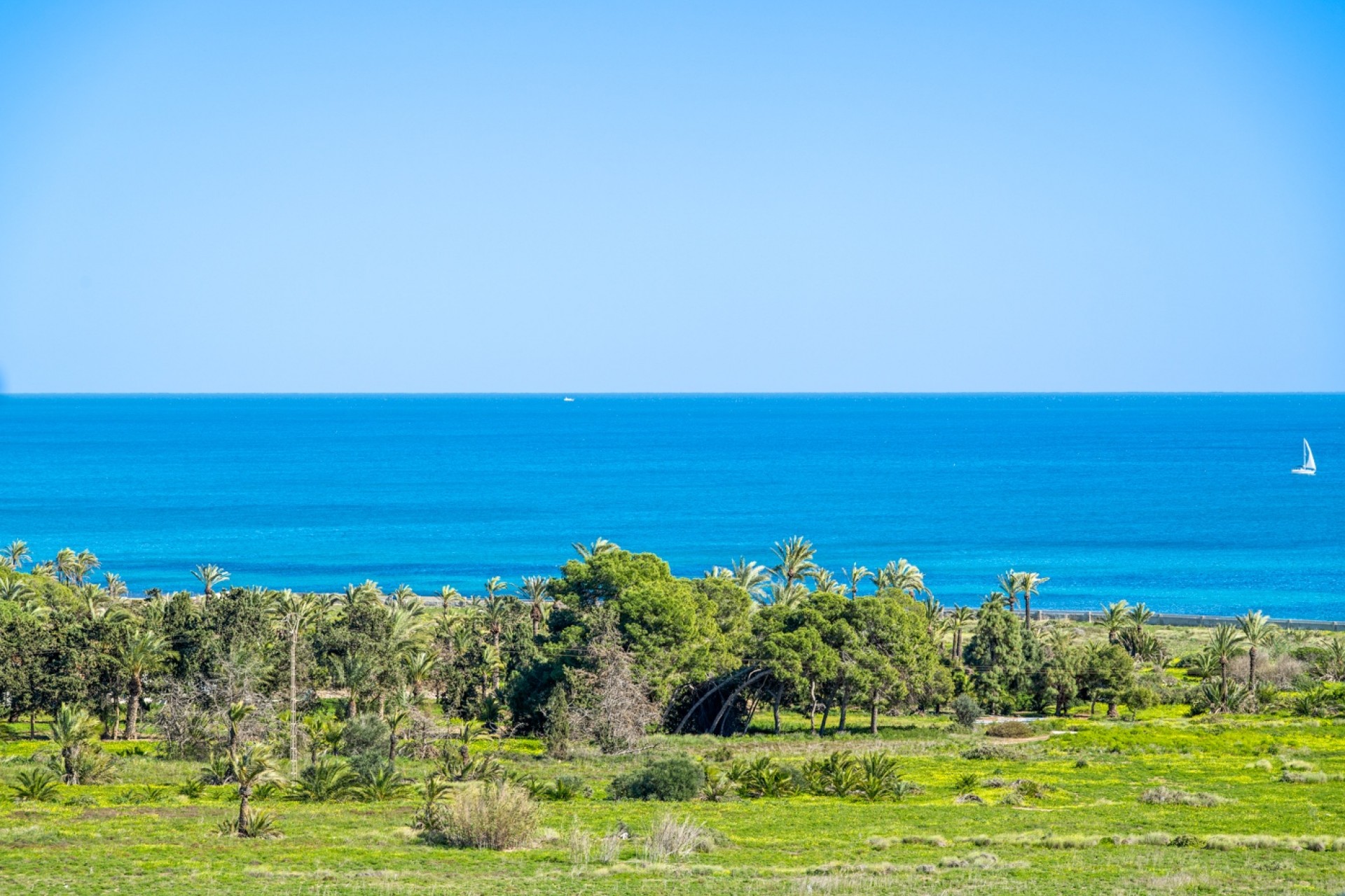 Wederverkoop - Appartement - Torrevieja - Rocio del Mar