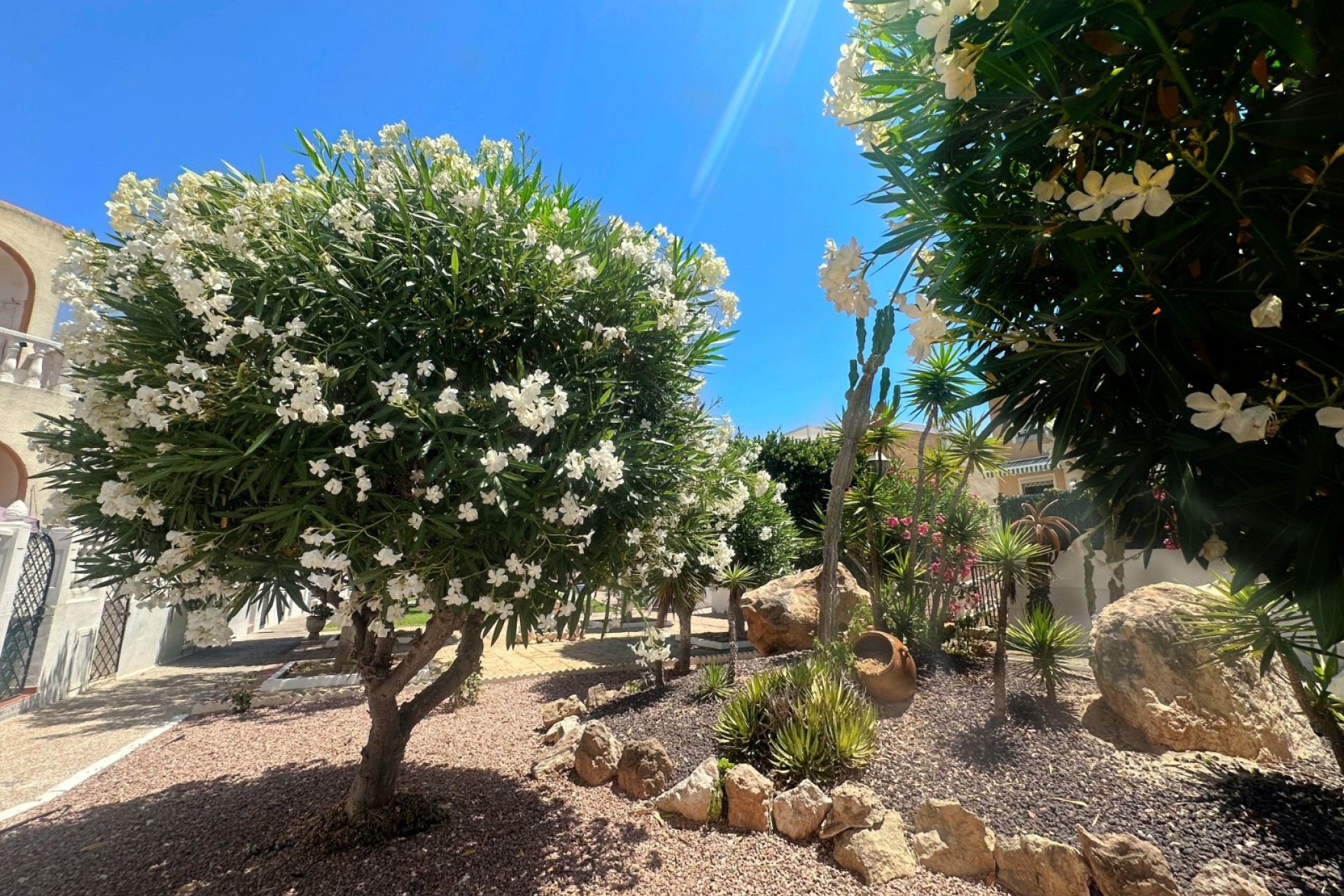 Wederverkoop - Appartement - Torrevieja - Torre La Mata