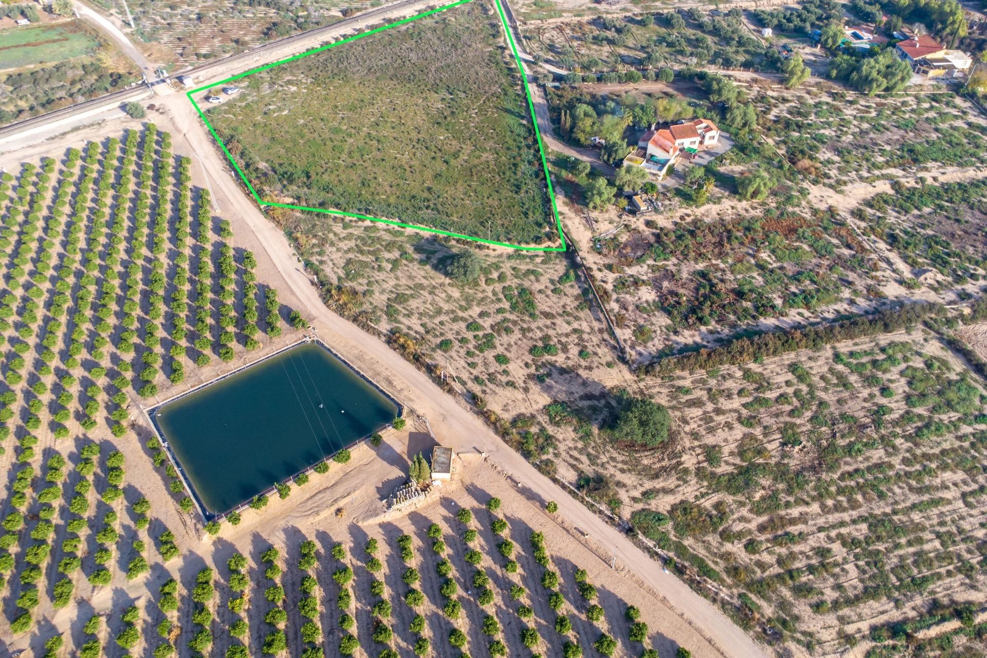 Wederverkoop - Country Land - Crevillent - Comunidad valenciana