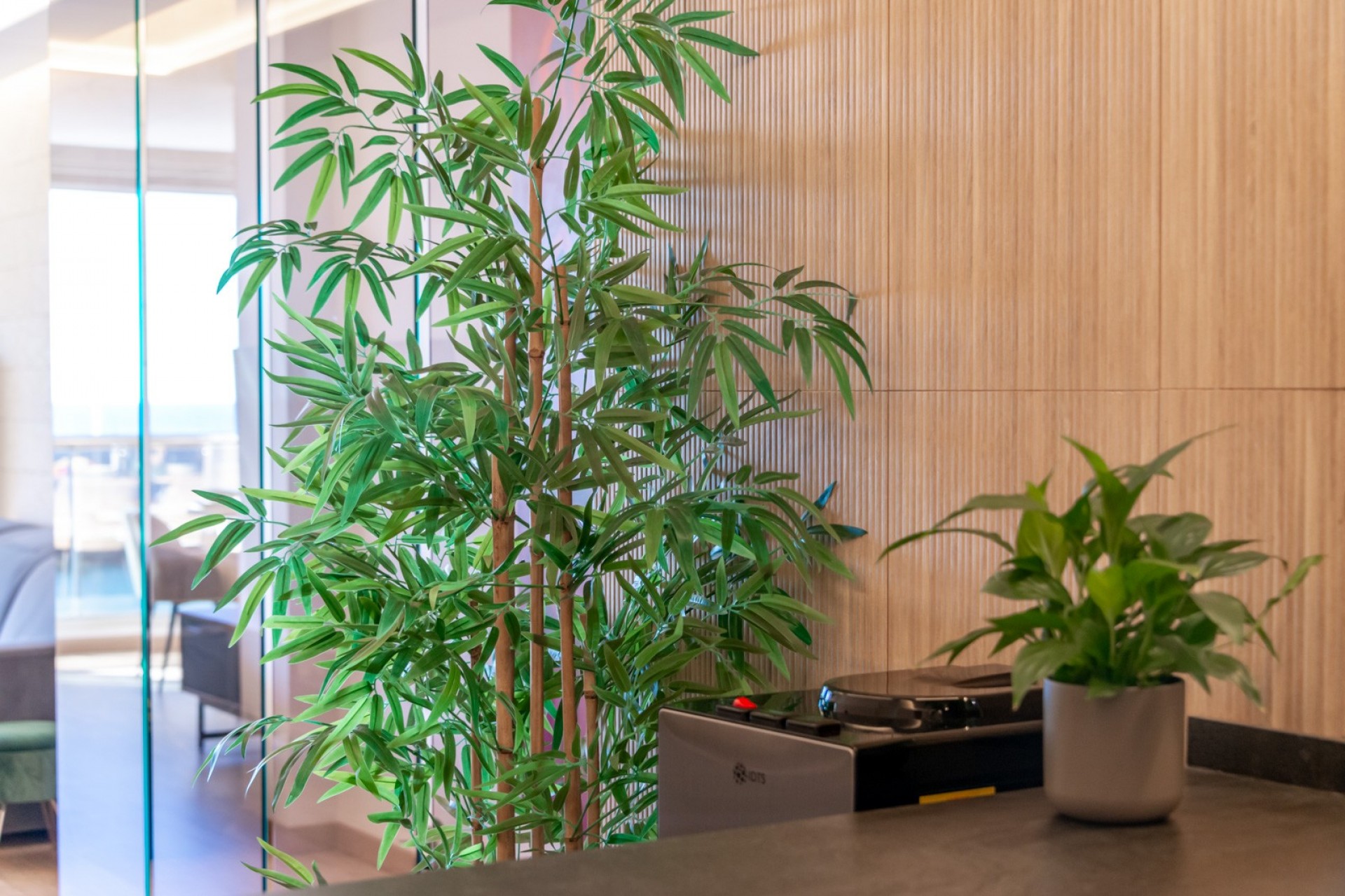 Wederverkoop - Duplex - Altea - Mascarat