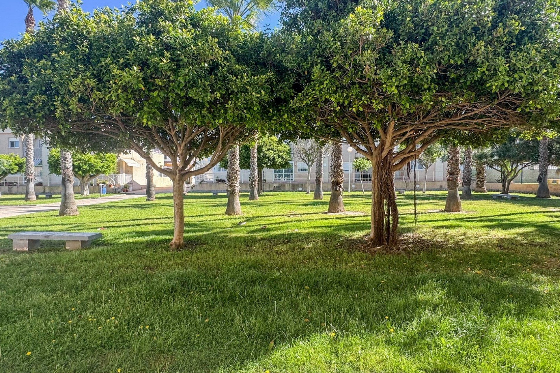 Wederverkoop - Duplex - Torrevieja - Aguas Nuevas