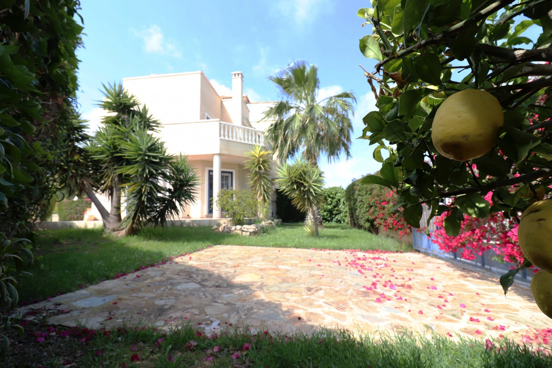 Wederverkoop - Halfvrijstaand - Guardamar del Segura - El Raso