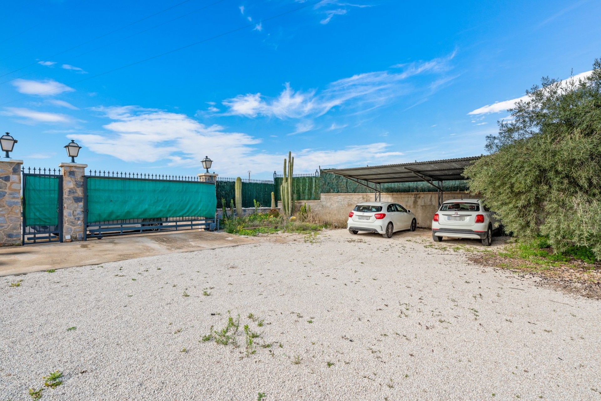 Wederverkoop - Landgoed - Elche - Elche - Veld