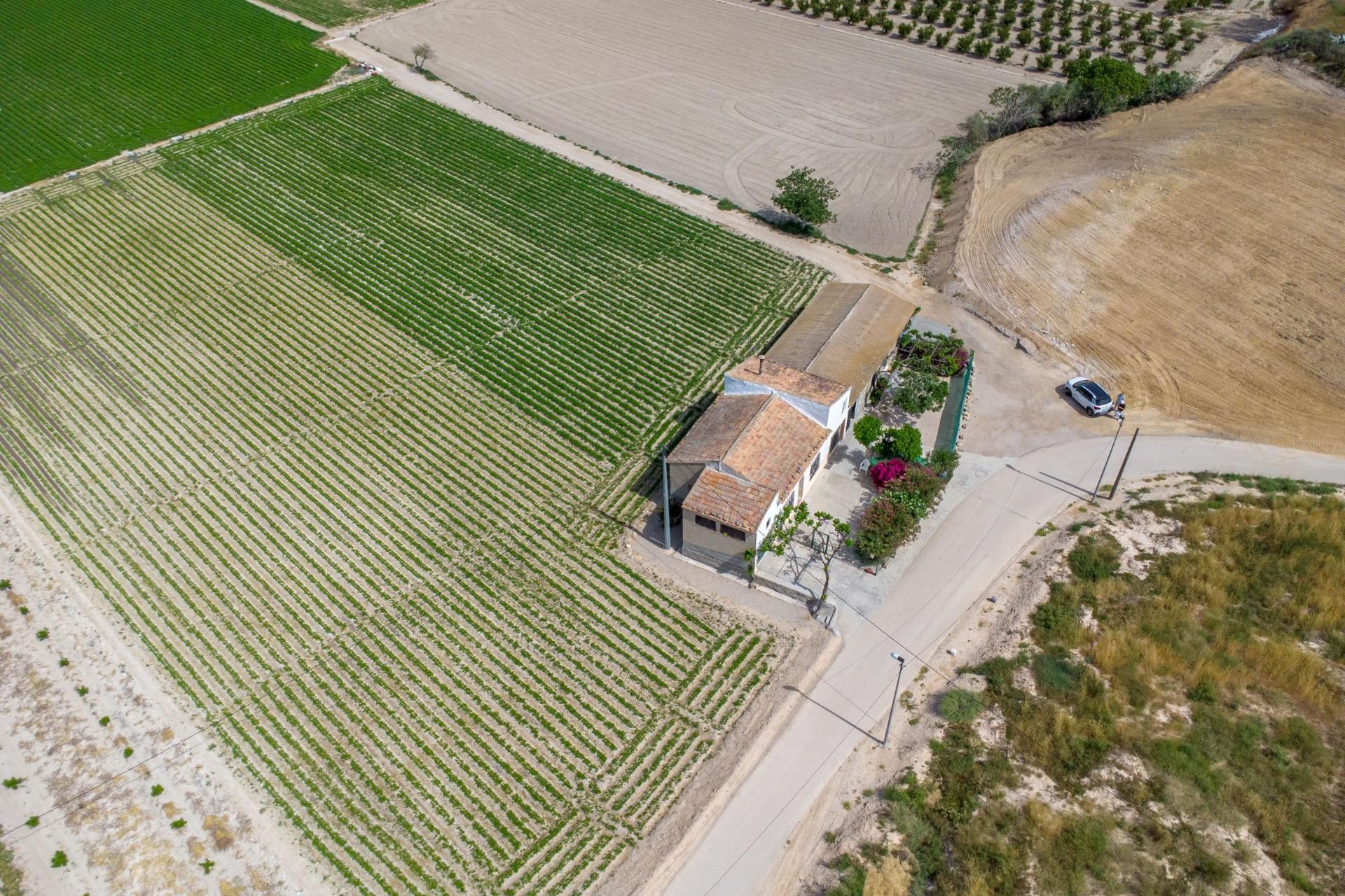Wederverkoop - Landgoed - Orihuela - Los Desamparados