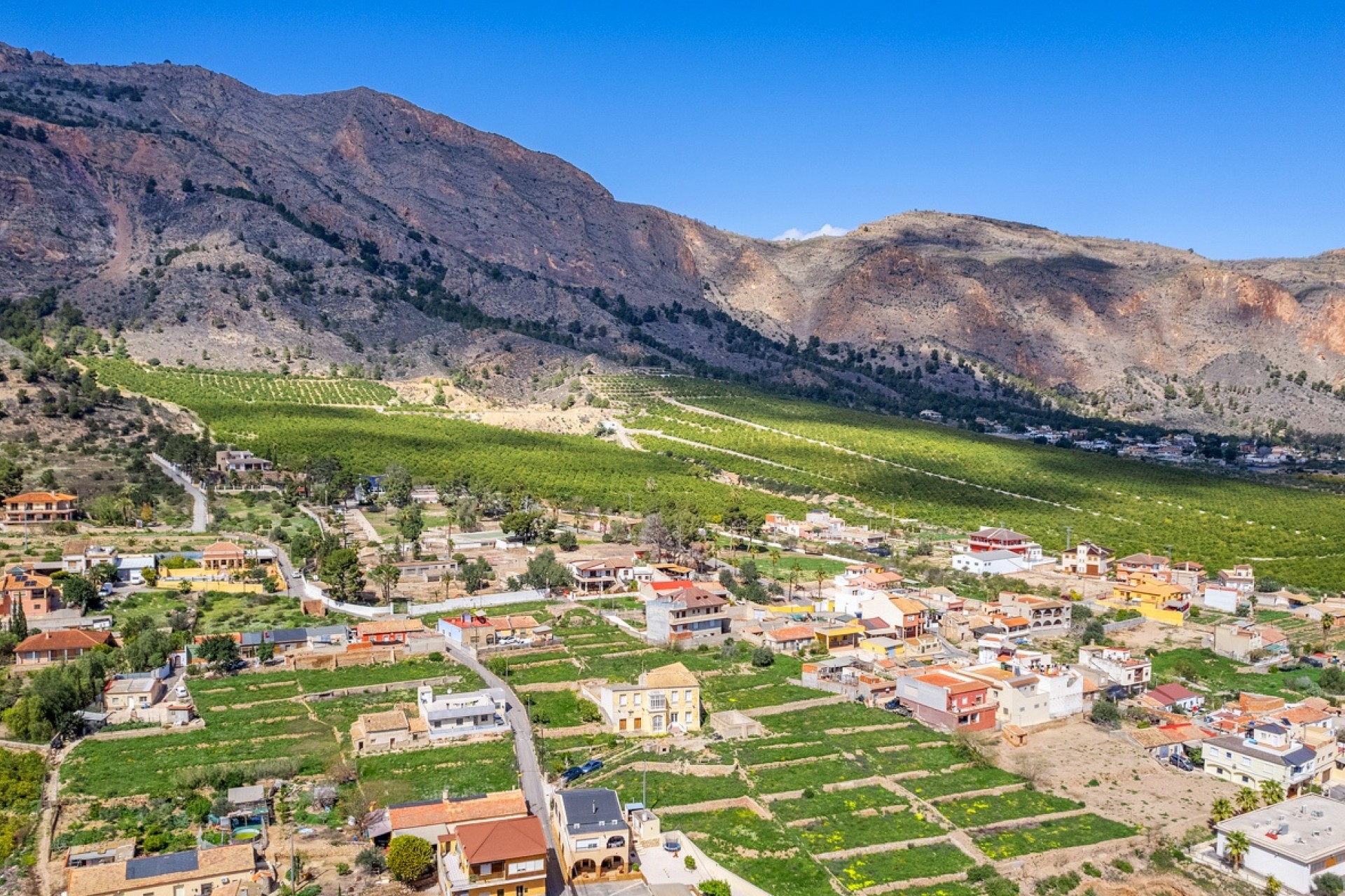 Wederverkoop - Landgoed - Orihuela - Raiguero de Bonanza