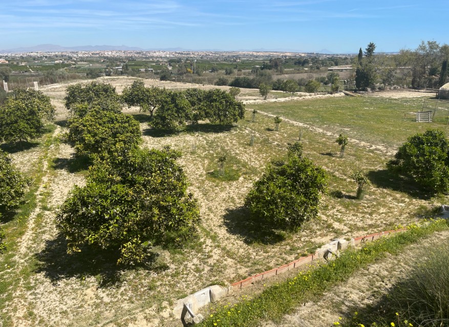 Wederverkoop - Landgoed - Rojales - Rojales - Veld