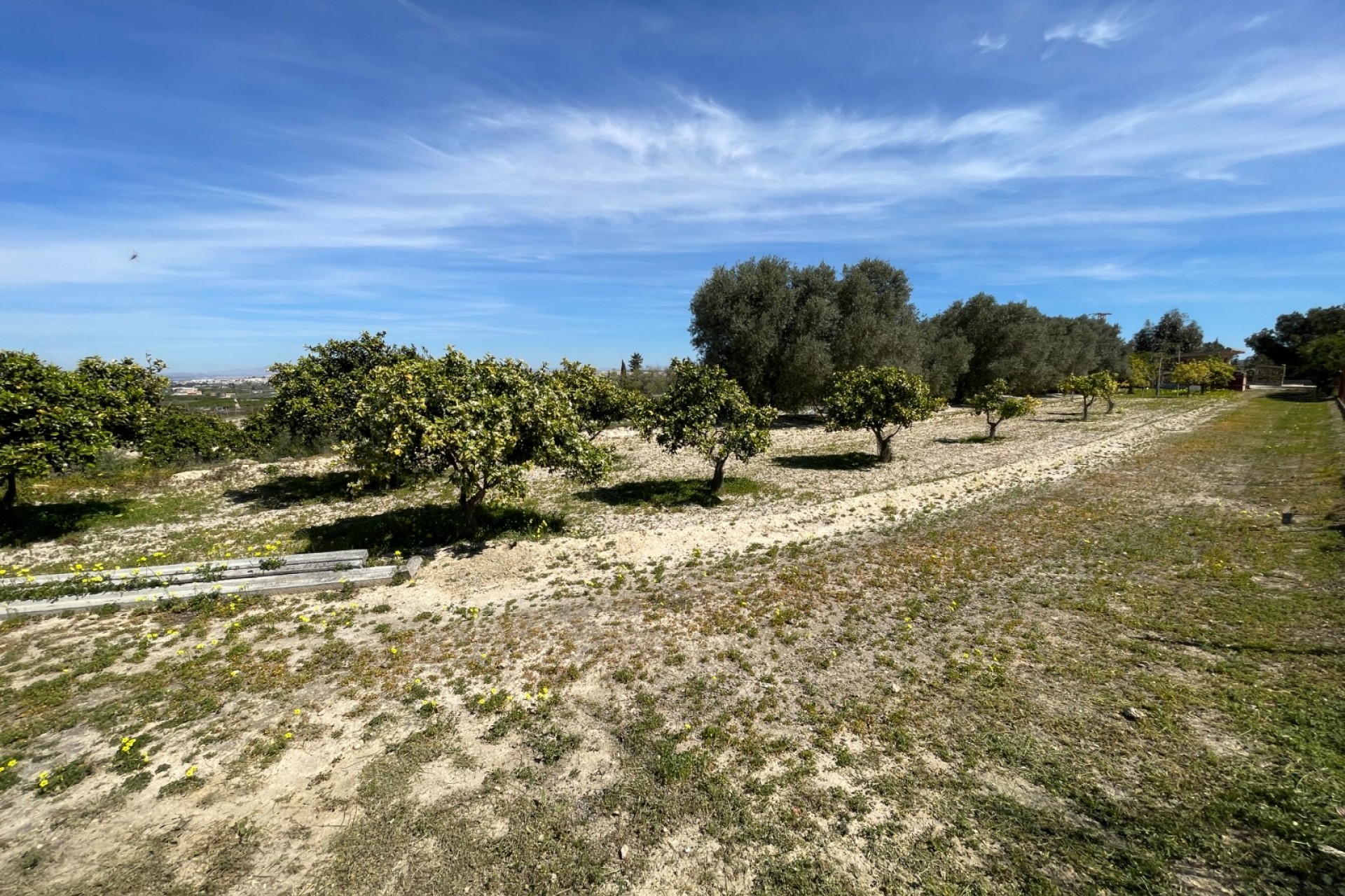 Wederverkoop - Landgoed - Rojales - Rojales - Veld