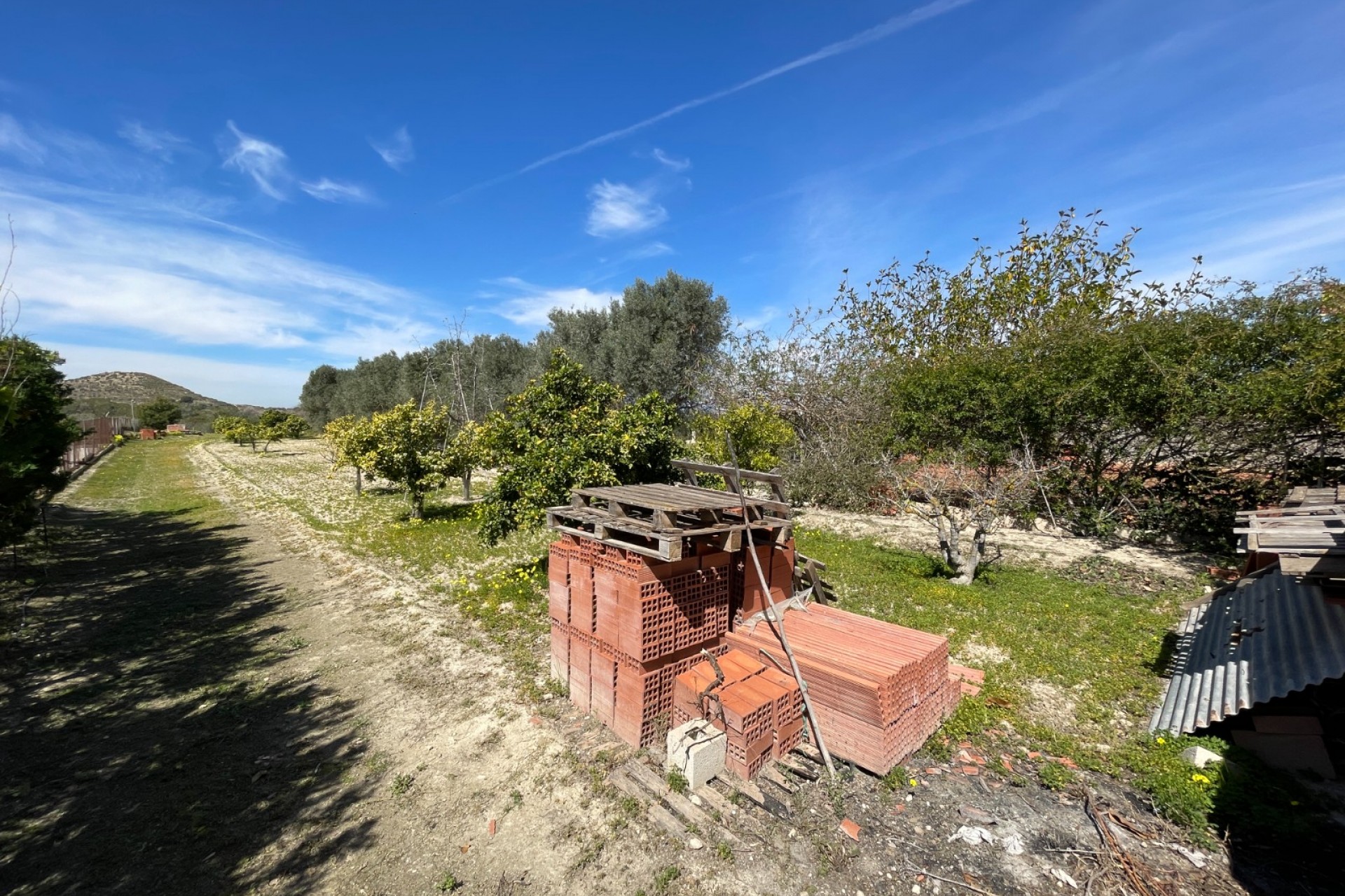 Wederverkoop - Landgoed - Rojales - Rojales - Veld
