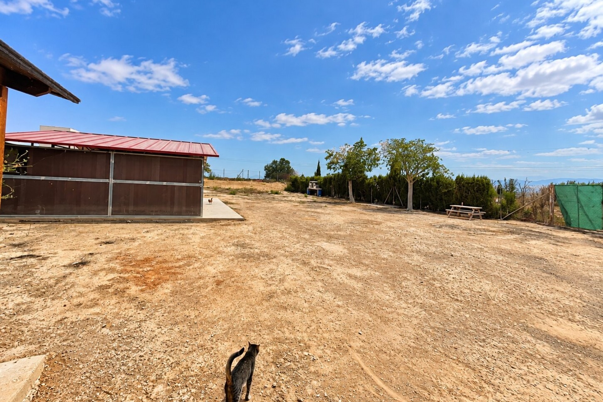 Wederverkoop - Landgoed - San Fulgencio - San Fulgencio - Veld