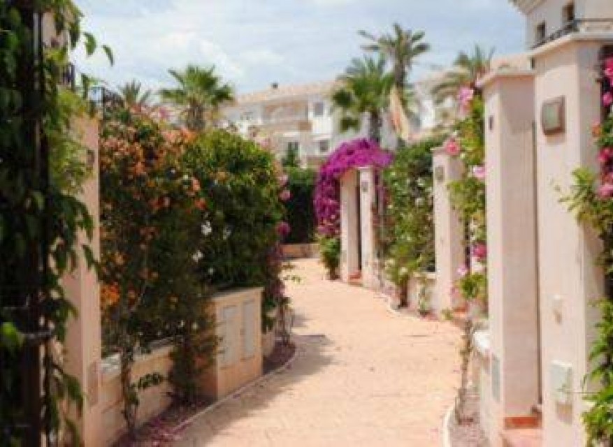 Wederverkoop - Quad Villa - San Cayetano - San Cayetano - Stad