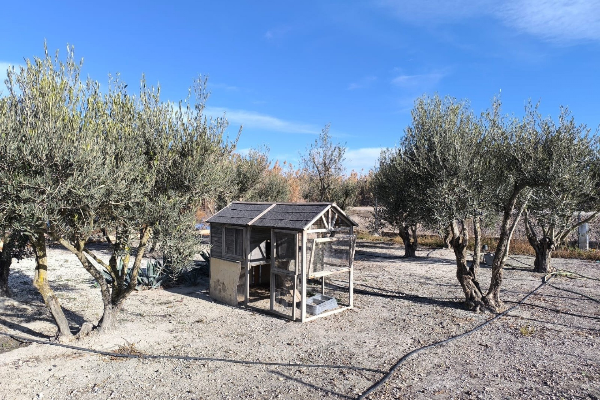 Wederverkoop - Vrijstaande Villa - Villena - Rural location