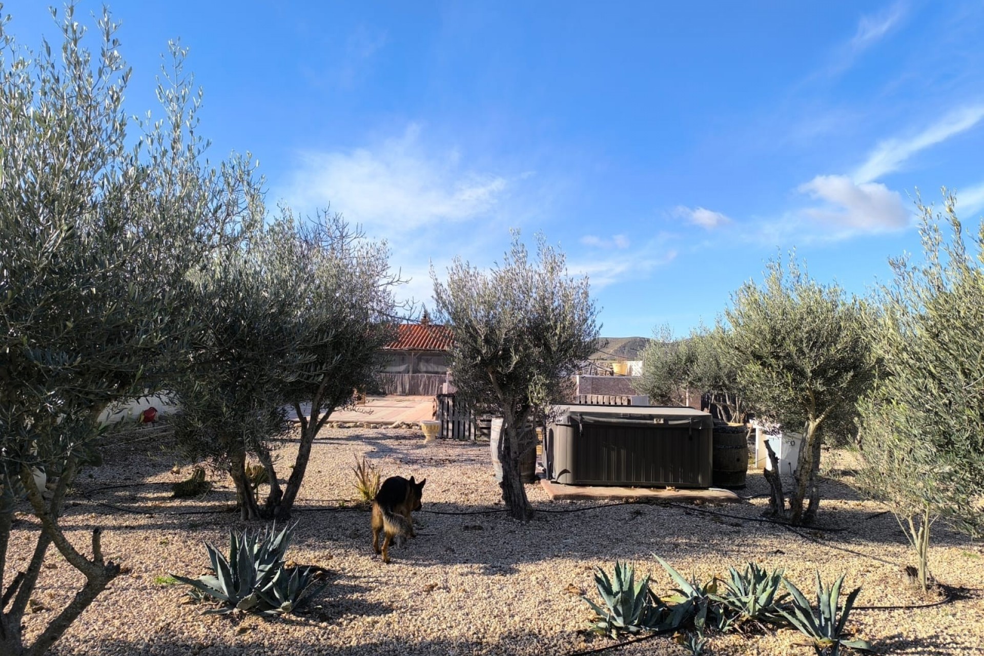 Wederverkoop - Vrijstaande Villa - Villena - Rural location