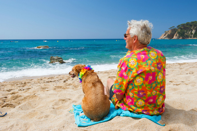 Les chiens sont admis sur la plage en Espagne?