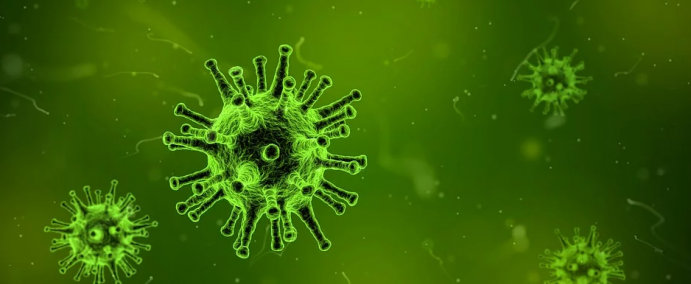 Covid-19 informasjon - Corona Virus