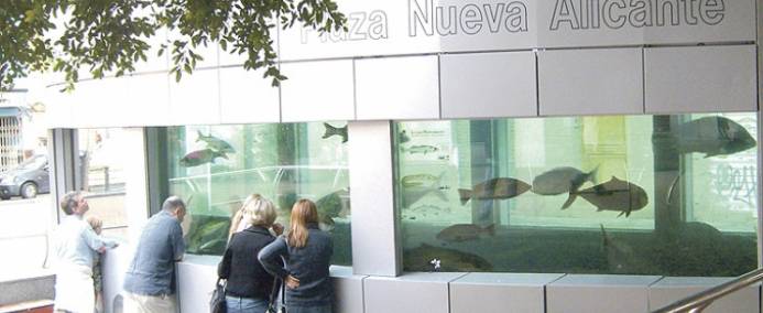 proyecto de acuario que se anunciará en cuestión de semanas