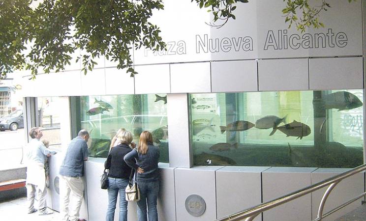 Aquarium project to be announced within weeks