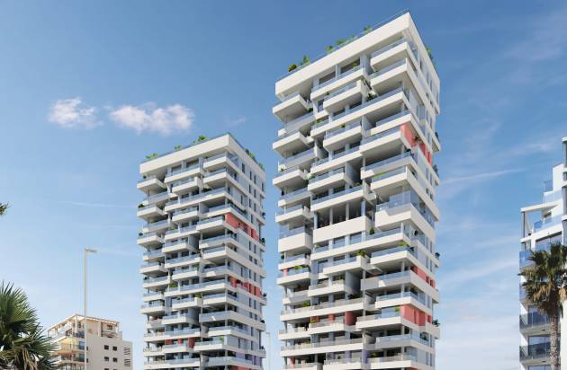 Isea Views