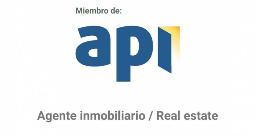 Discover the difference: Vincent Real Estate and its affiliation with API in the Valencian Community