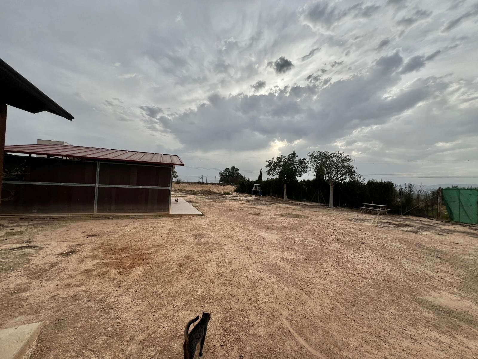 House in San Fulgencio - Image 4