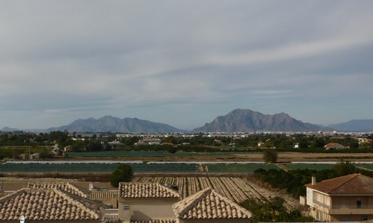 Re-Sale - Apartment - Rojales - Los Palacios