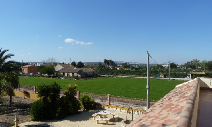Huur - Landgoed - Formentera del Segura - Formentera - Veld