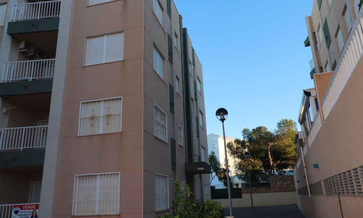 Location - Appartement - La Mata - La Mata - Ville