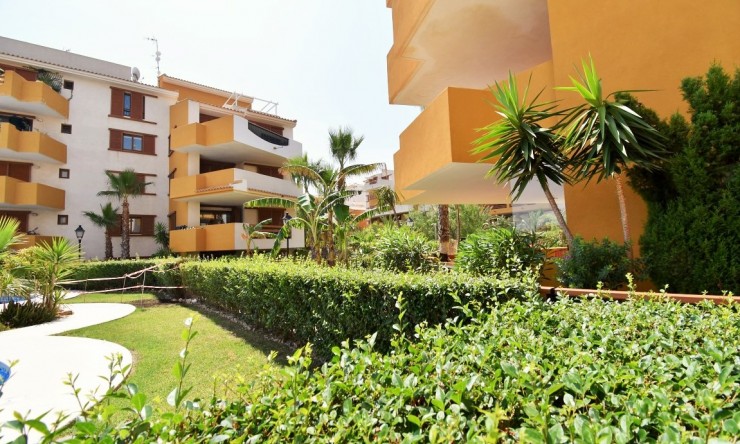 Wederverkoop - Appartement - Orihuela Costa - Punta Prima