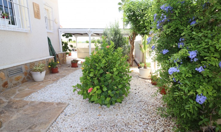 Wederverkoop - Vrijstaande Villa - San Miguel de Salinas - Lake View Mansions