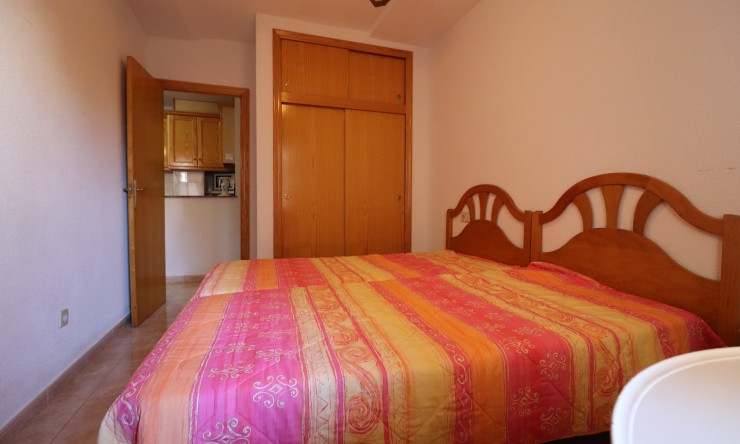 Location - Appartement - Torrevieja - Playa Los Naufragos