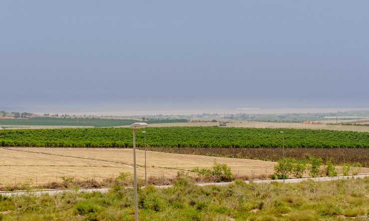 Nieuw - Vrijstaande Villa - Los Montesinos - Entre Naranjos / Vistabella Golf
