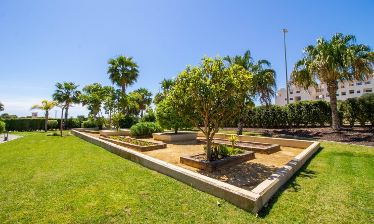 Videresalg - Leilighet - Orihuela Costa - Los Dolses