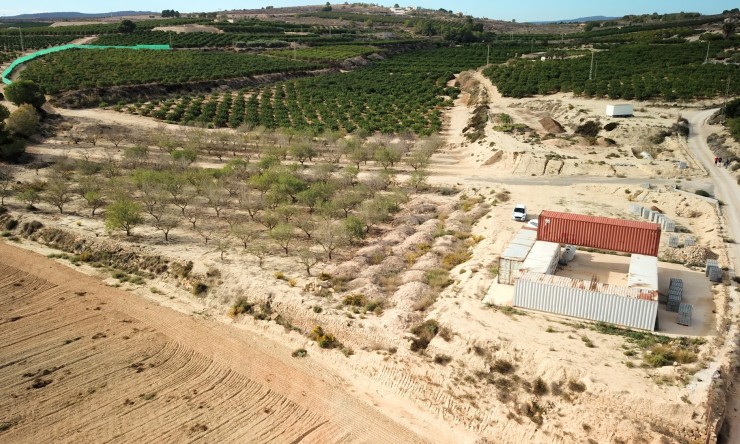 Wederverkoop - Perceel Grond - Torremendo - Torremendo - Veld