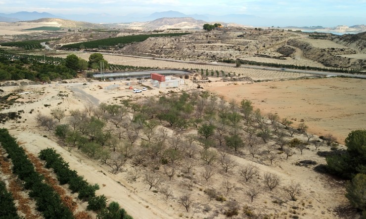 La Revente - Terrain - Torremendo - Torremendo - Domaine