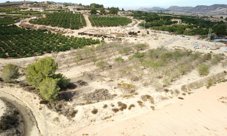 Reventa - Terreno - Torremendo - Torremendo - Campo