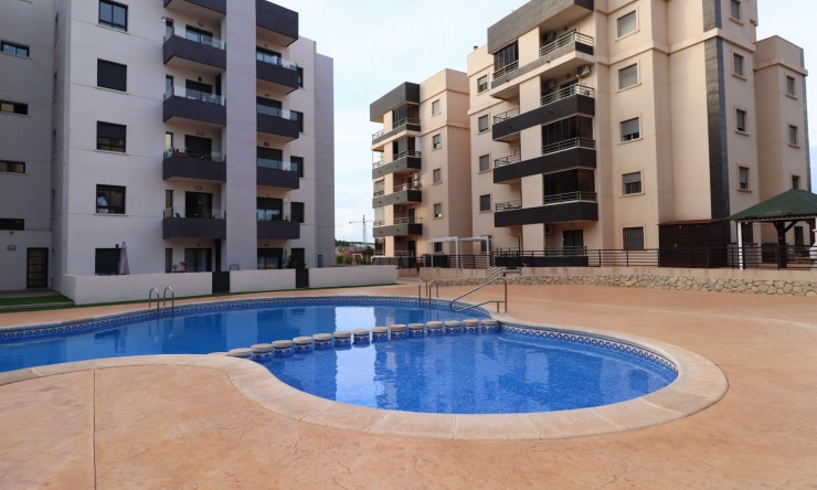 Re-Sale - Apartment - San Miguel de Salinas - San Miguel - Town