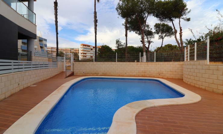 La Revente - Appartement - La Mata - La Mata - Ville