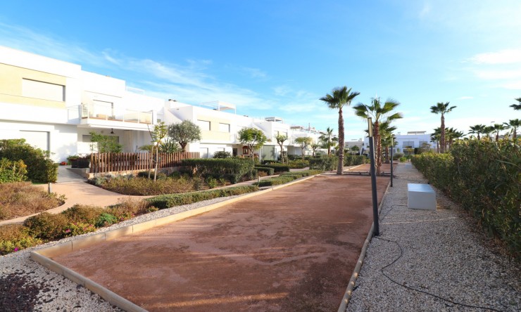 Reventa - Apartamento - Los Montesinos - Entre Naranjos / Vistabella Golf