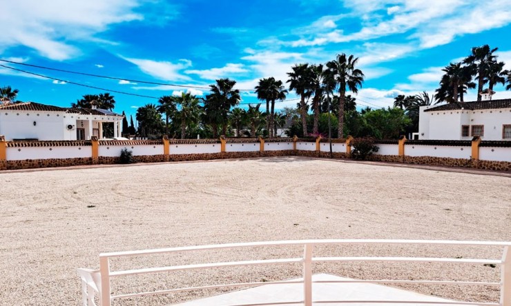 New - Country Property - Catral - Catral - Country