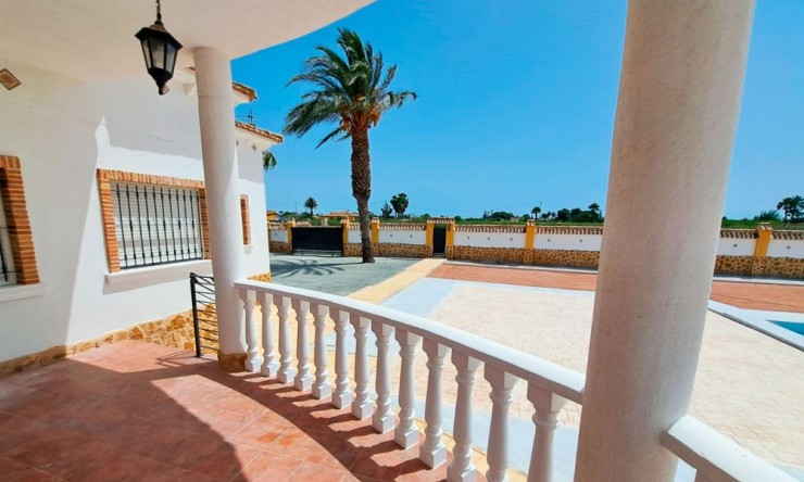 New - Country Property - Catral - Catral - Country