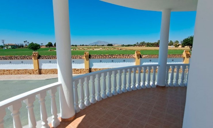 Videresalg - Land Eiendom - Catral - Catral - Felt