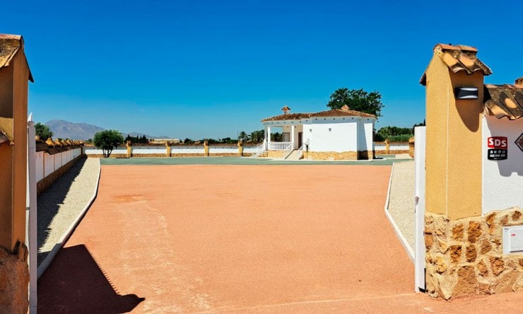 Videresalg - Land Eiendom - Catral - Catral - Felt