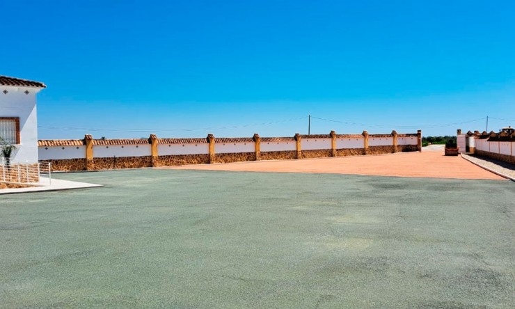 Videresalg - Land Eiendom - Catral - Catral - Felt