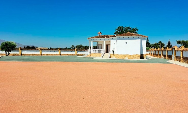 Videresalg - Land Eiendom - Catral - Catral - Felt